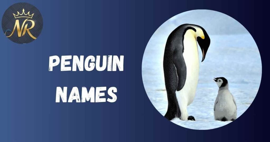 Penguin Names