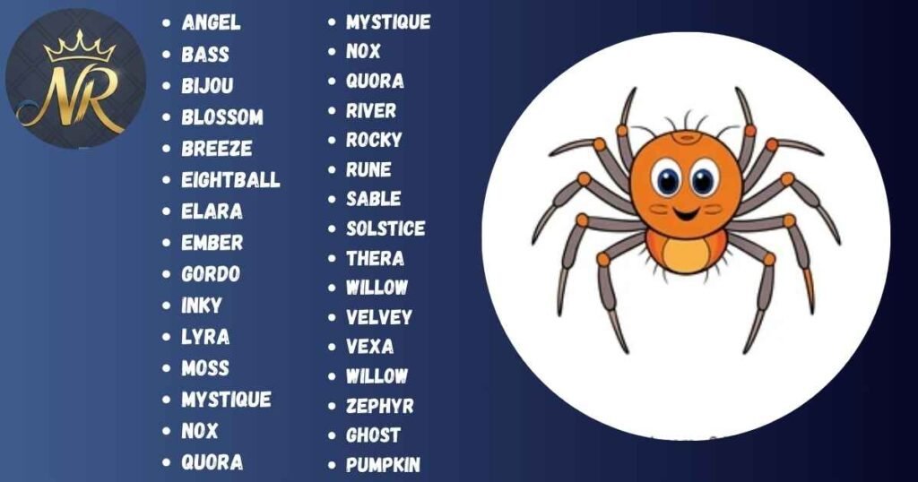 Pet Spider Names