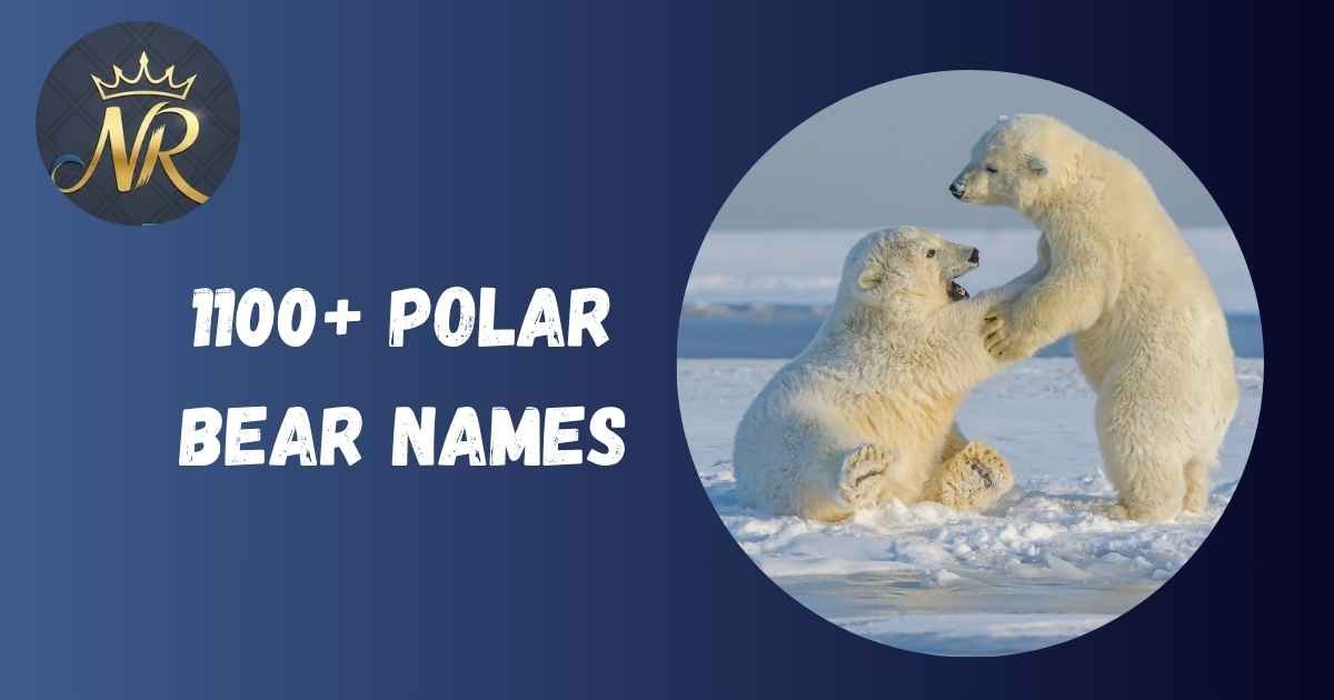 Polar Bear Names
