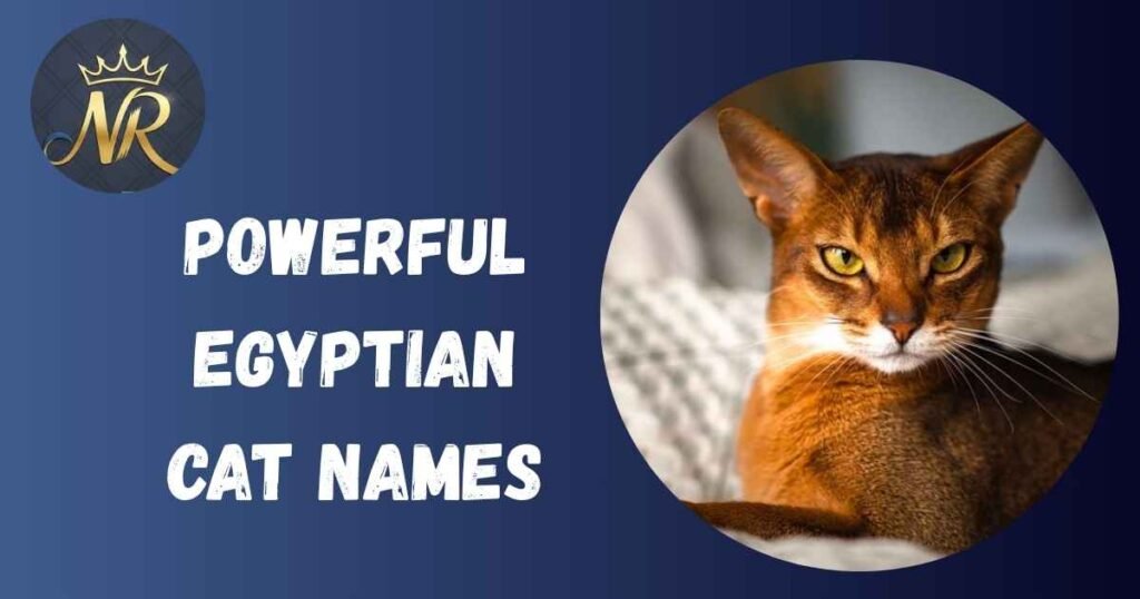 Powerful Egyptian Cat Names