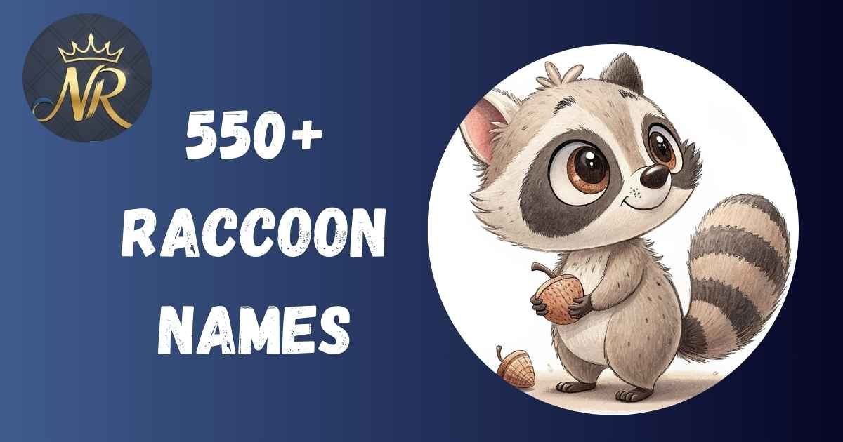 Raccoon Names