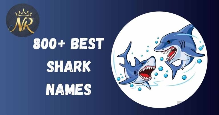 Shark Names