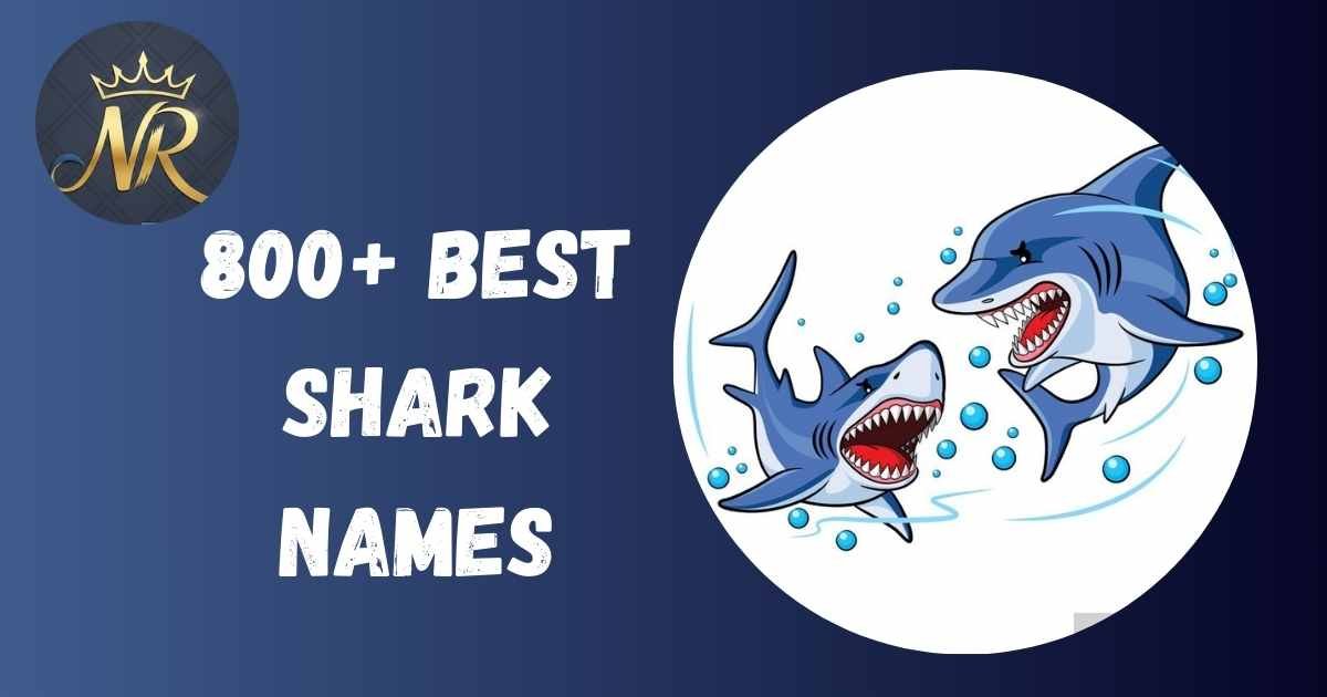 Shark Names