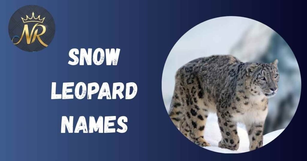 Snow Leopard Names
