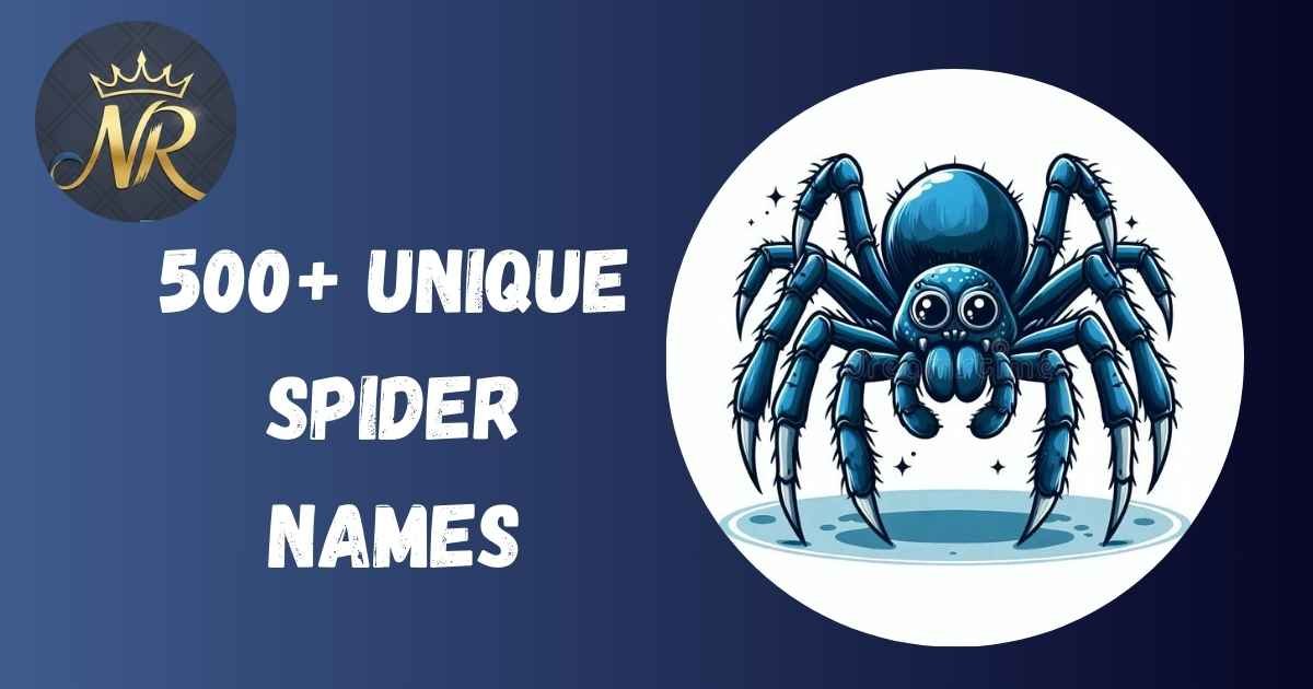 Spider Names