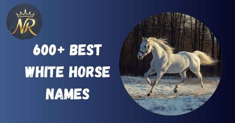 White Horse Names
