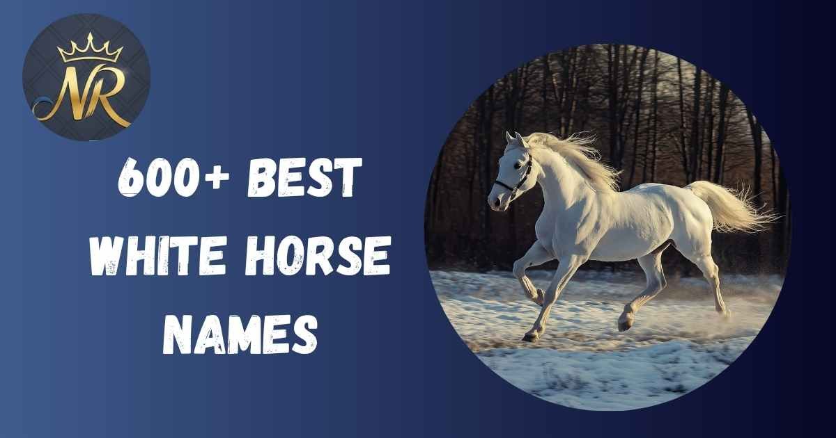 White Horse Names