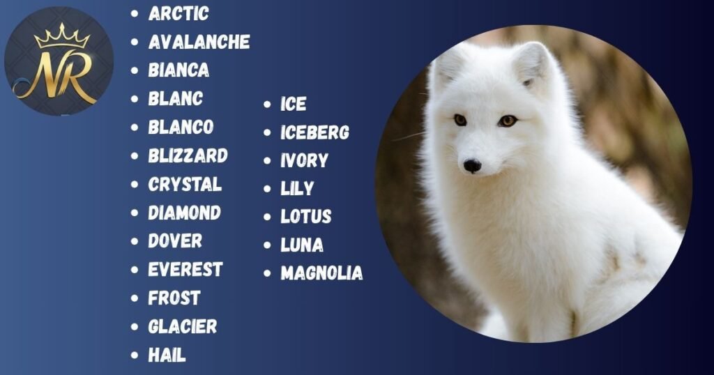 white Fox Names
