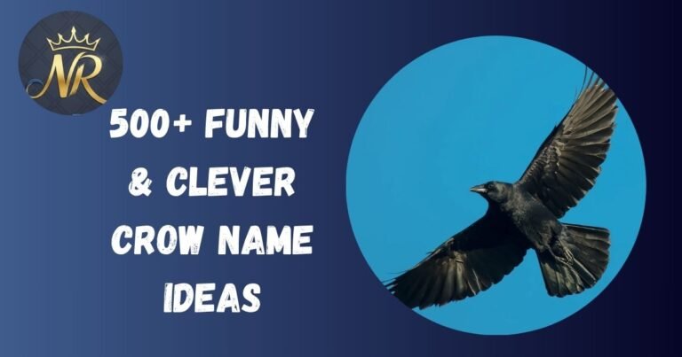 Crow Names