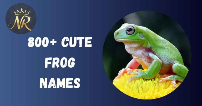 Cute Frog Names