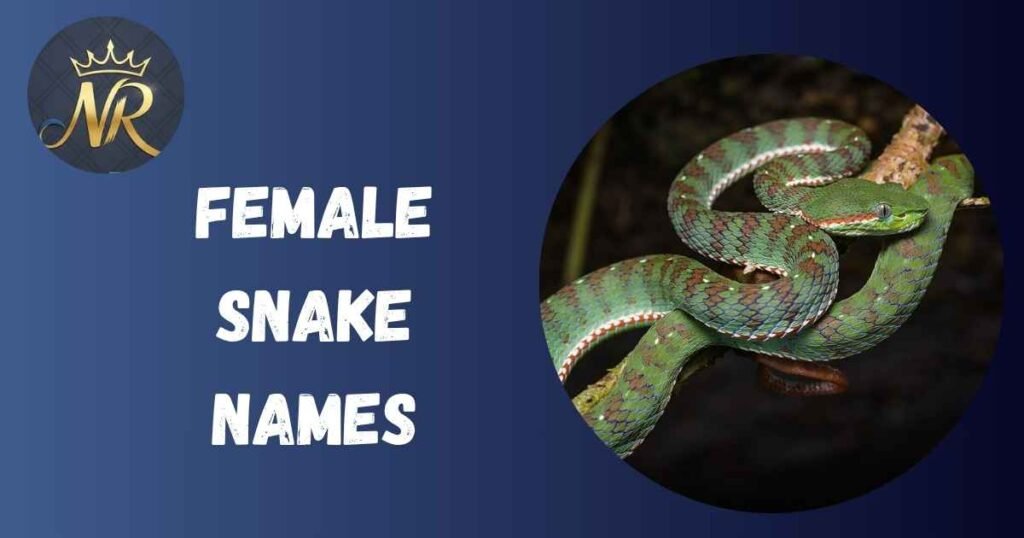 Female Snake Names
