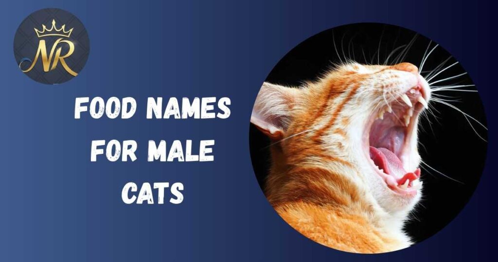 Food names for male cats