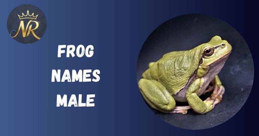 Frog Names Male
