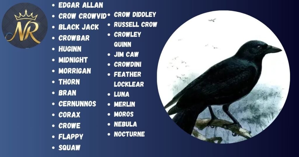 Funny Crow Names
