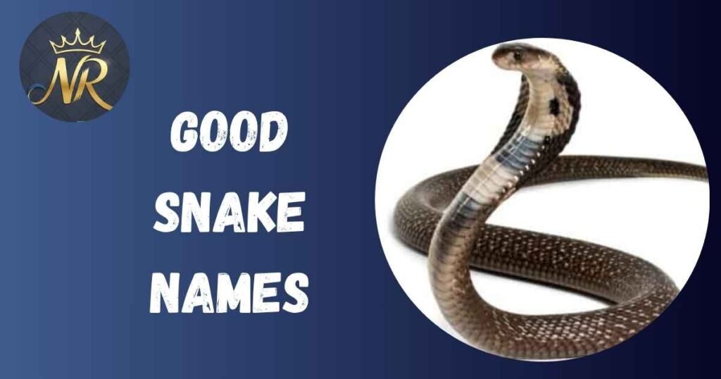 Good Snake Names