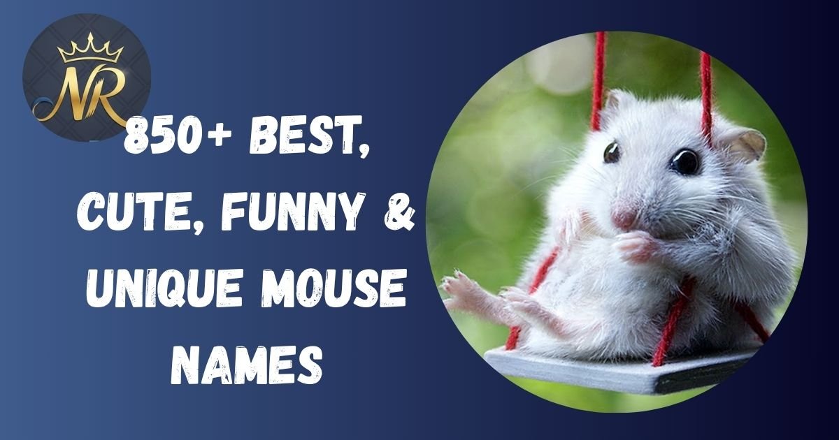 Mouse Names