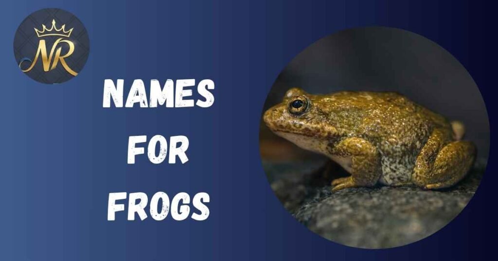 Names For Frogs