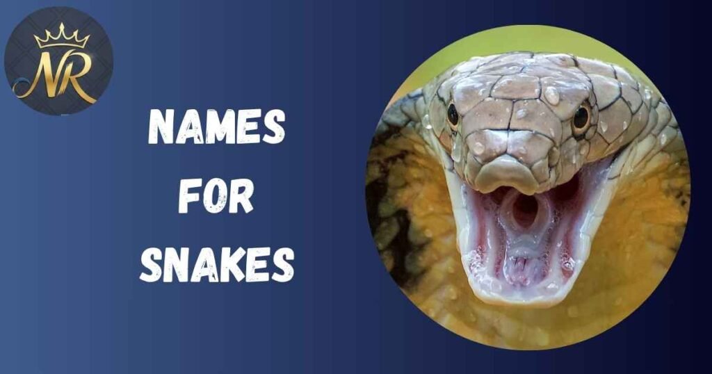 Names For Snakes