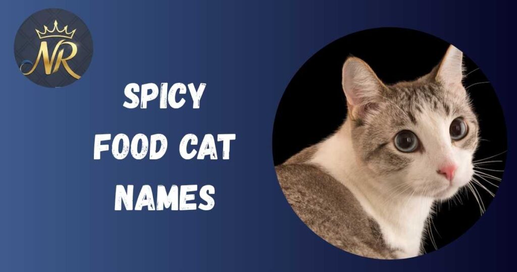 Spicy food cat names