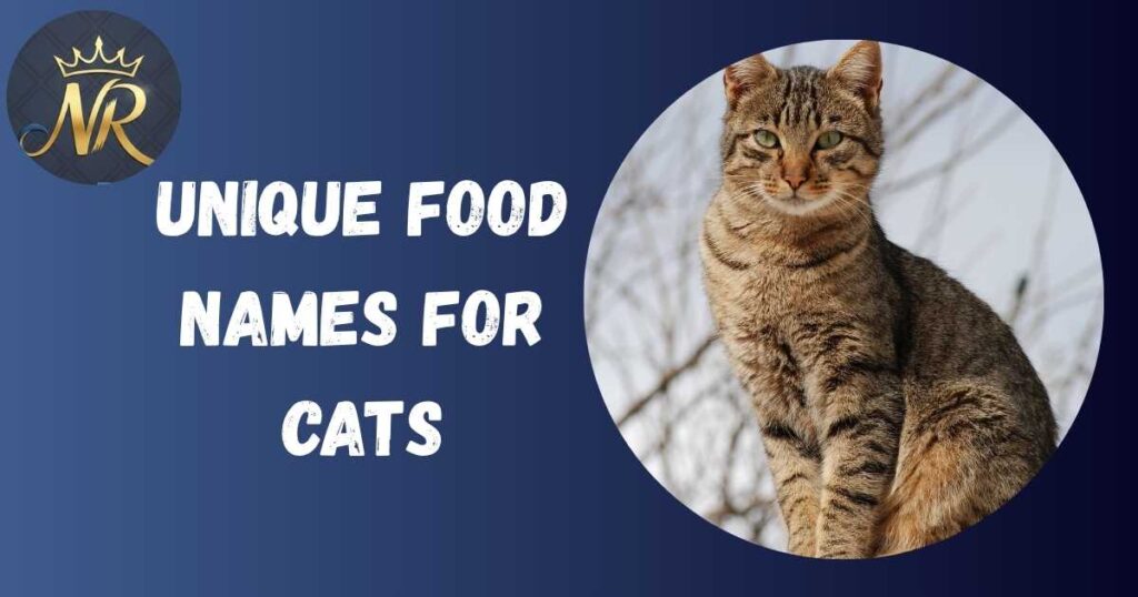 Unique Food Names For Cats